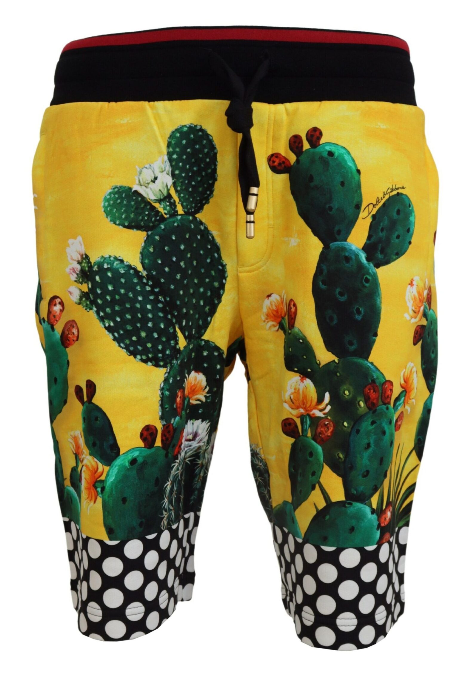 Dolce & Gabbana - Multicolor Cactus Print Cotton Sweat Shorts