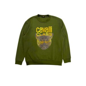 Green Polyester Men's Hoodie