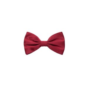 Red Silk Bowty