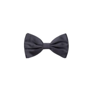 Gray Silk Bowty