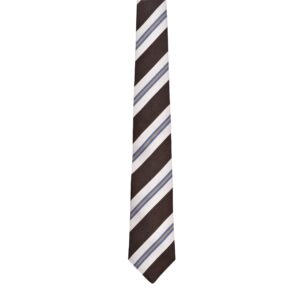 Multicolor Silk Tie