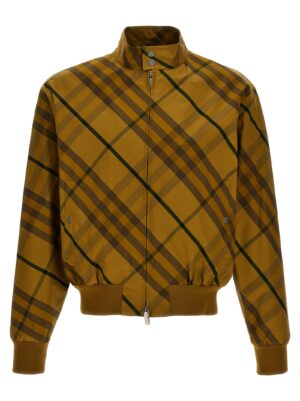 Bicolor Cotton Bomber